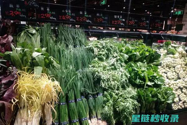 蔬菜保鲜延长：掌握这几点延长新鲜度 (蔬菜保鲜延长保质期)