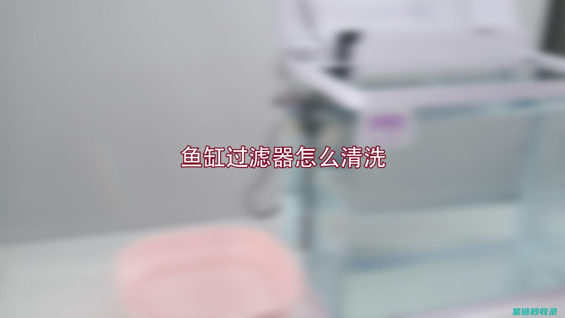 鱼缸清洁中的安全措施：保护自己和鱼儿 (鱼缸清洁中的污垢)